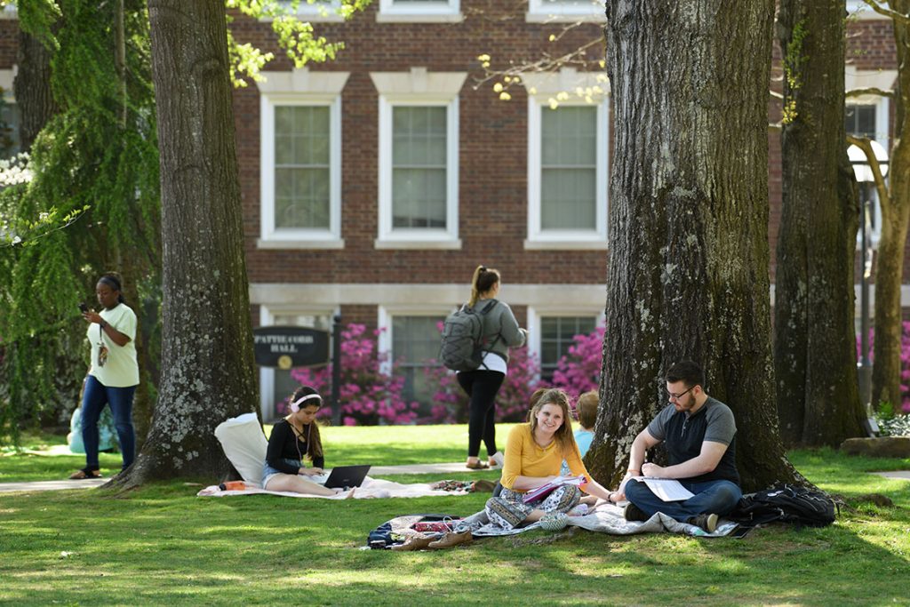 Students sitting outside under tress studying