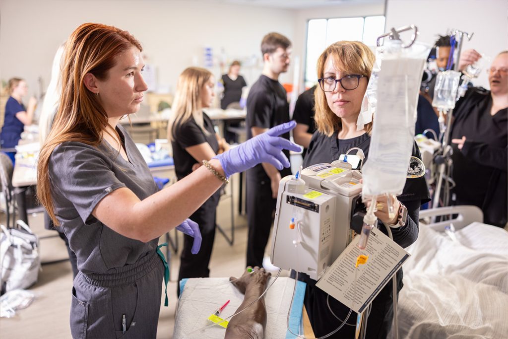 nursing students in a clincial setting